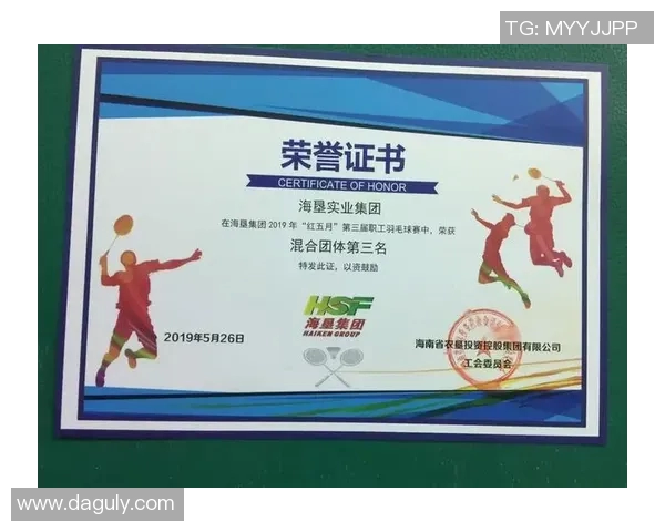 南京羽毛球队团队协作的成功秘诀与实践探索分析 南京羽毛球队团队协作的成功秘诀与实践探索分析