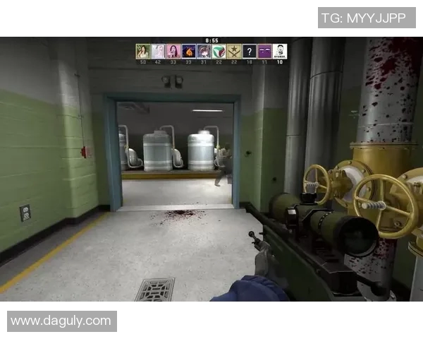 张芳独家揭秘：深入探讨CSGO游戏技巧与心得分享