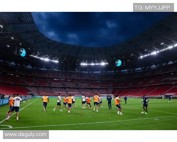 葡萄牙与新西兰足球对决分析及比赛展望