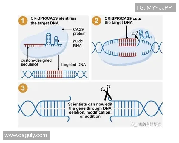 高校联赛特别报道:LNG在转型中迎接挑战与机遇的全新篇章 高校联赛特别报道:LNG在转型中迎接挑战与机遇的全新篇章